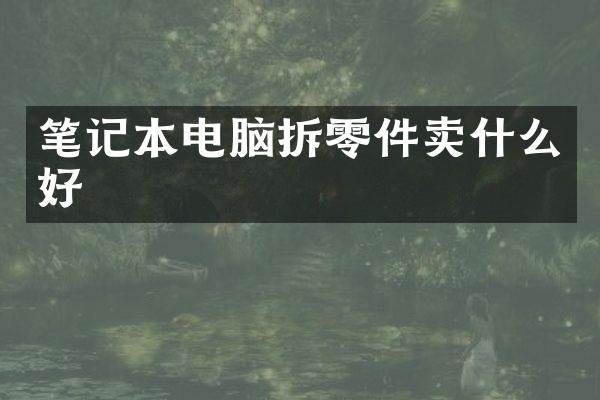 笔记本电脑拆零件卖什么好