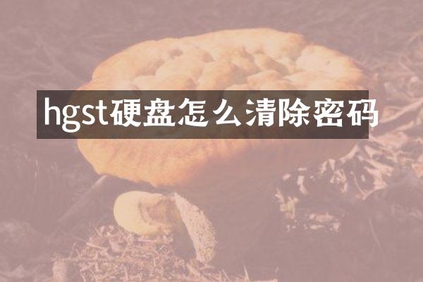 hgst硬盘怎么清除密码