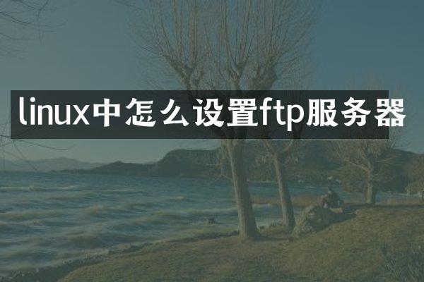 linux中怎么设置ftp服务器