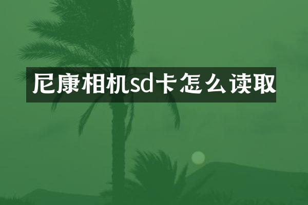 尼康相机sd卡怎么读取