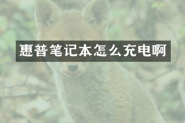惠普笔记本怎么充电啊