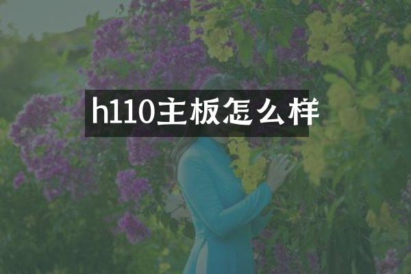 h110主板怎么样