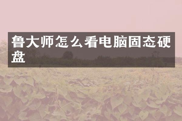 鲁大师怎么看电脑固态硬盘