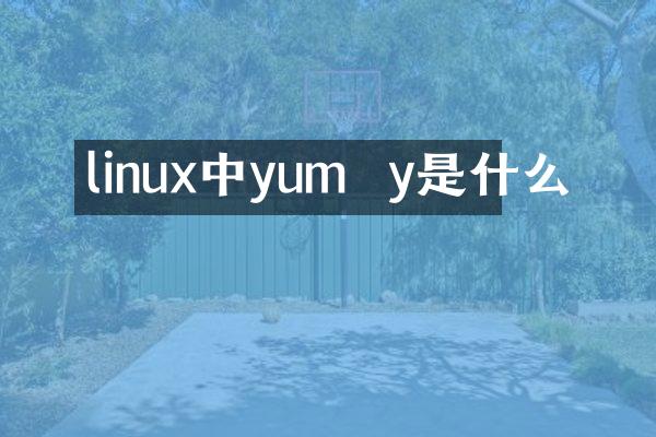 linux中yum  y是什么