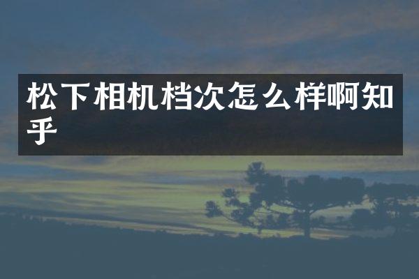 松下相机档次怎么样啊知乎