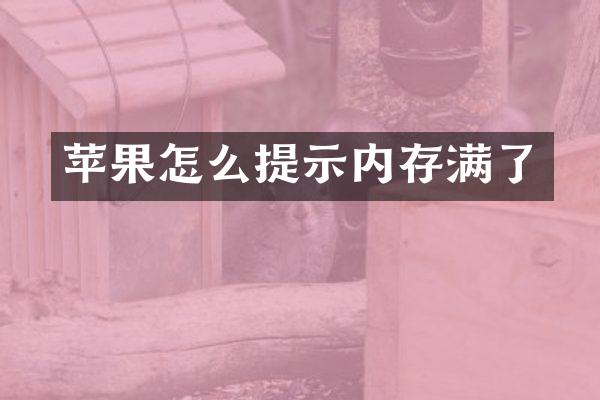 苹果怎么提示内存满了