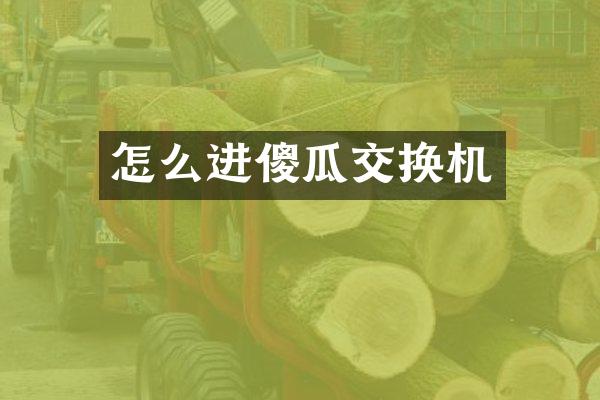 怎么进傻瓜交换机