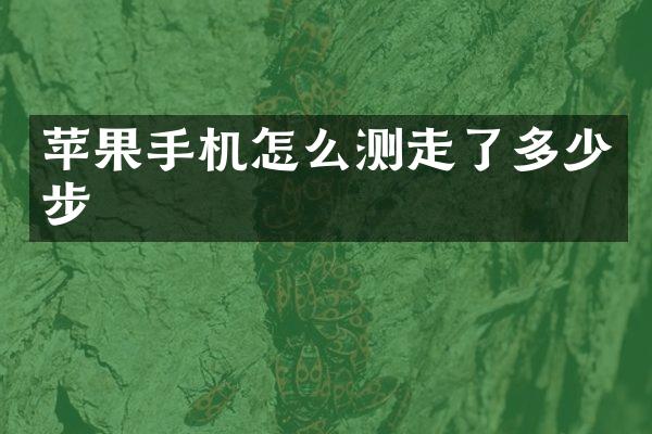 苹果手机怎么测走了多少步