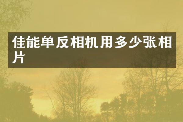 佳能单反相机用多少张相片