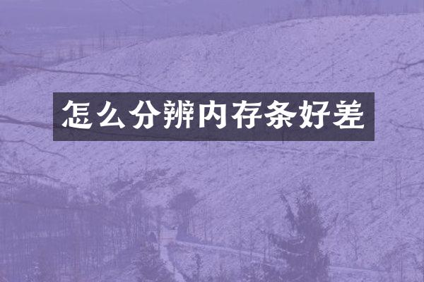 怎么分辨内存条好差
