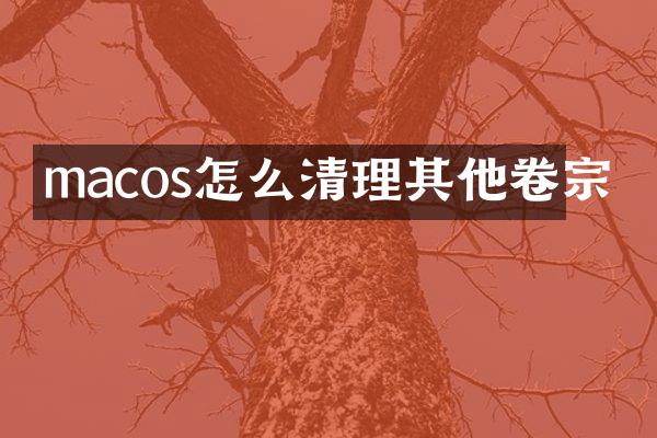 macos怎么清理其他卷宗