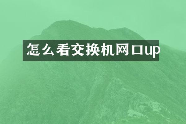 怎么看交换机网口up