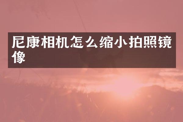 尼康相机怎么缩小拍照镜像