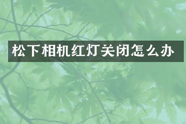 松下相机红灯关闭怎么办