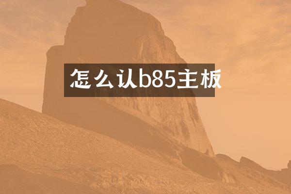 怎么认b85主板