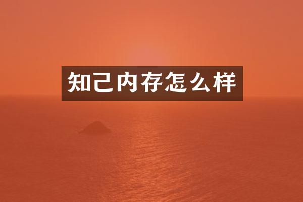 知己内存怎么样