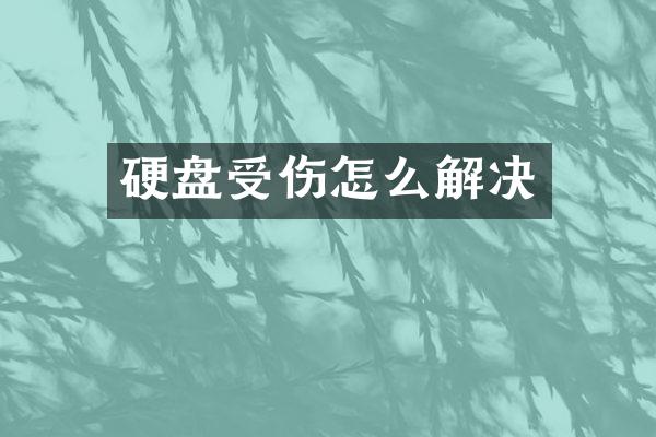 硬盘受伤怎么解决