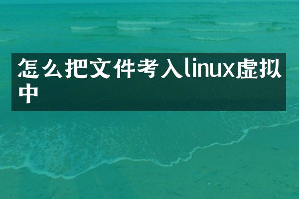 怎么把文件考入linux虚拟机中