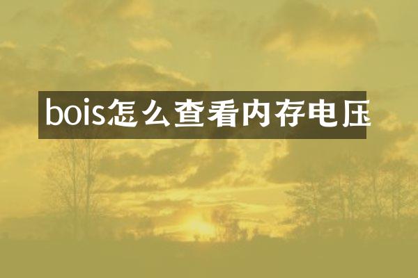 bois怎么查看内存电压