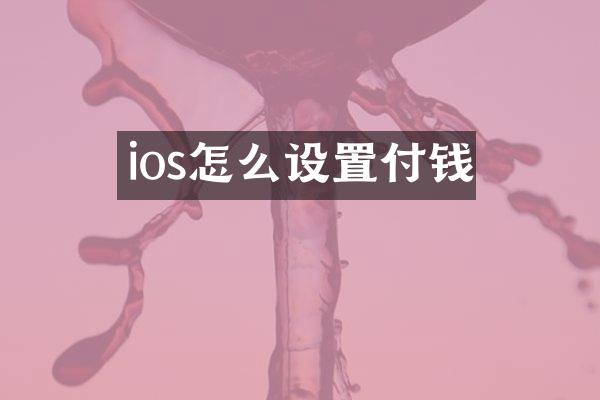 ios怎么设置付钱