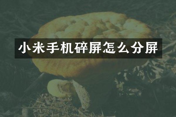 小米手机碎屏怎么分屏