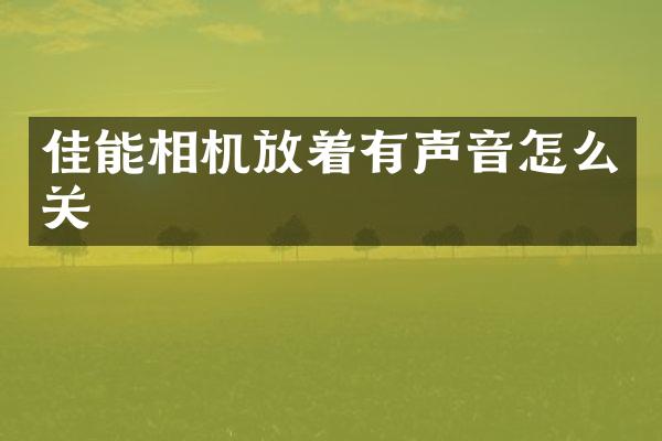 佳能相机放着有声音怎么关