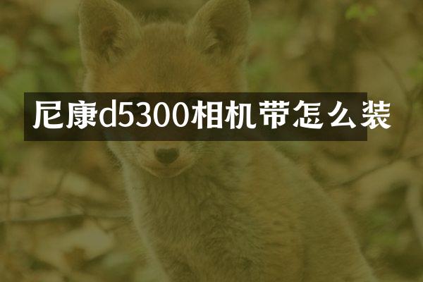 尼康d5300相机带怎么装