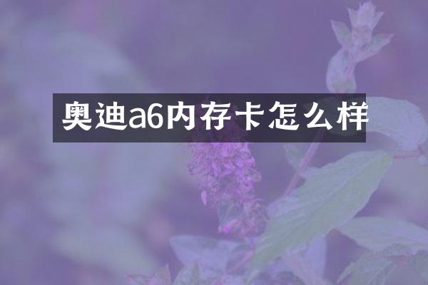 奥迪a6内存卡怎么样