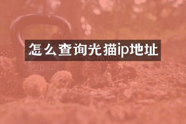 怎么查询光猫ip地址