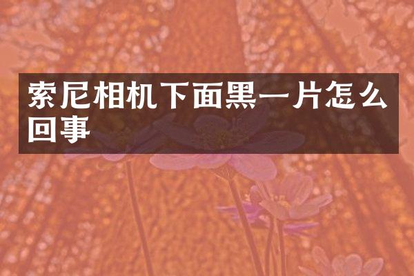 索尼相机下面黑一片怎么回事