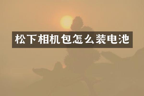 松下相机包怎么装电池