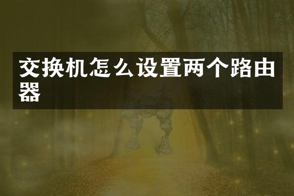 交换机怎么设置两个路由器