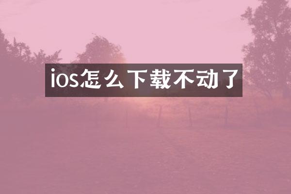 ios怎么下载不动了