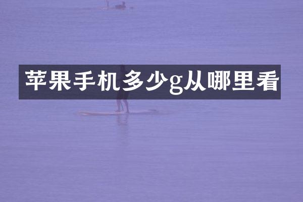 苹果手机多少g从哪里看