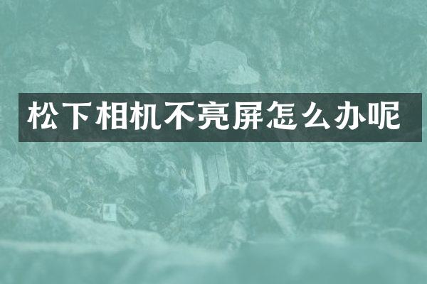 松下相机不亮屏怎么办呢