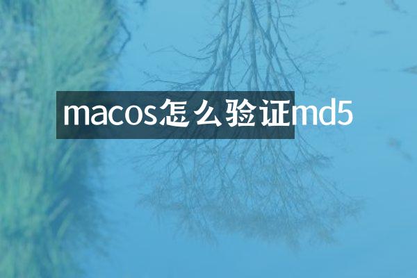 macos怎么验证md5