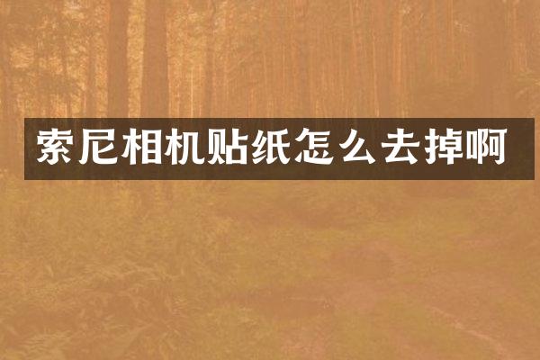 索尼相机贴纸怎么去掉啊