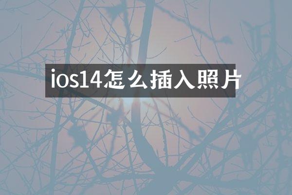 ios14怎么插入照片