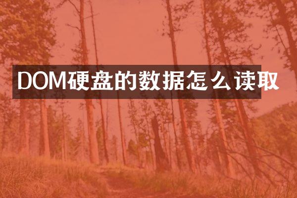 DOM硬盘的数据怎么读取