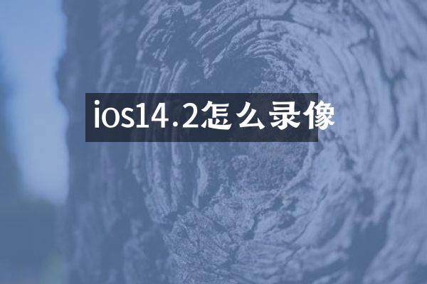 ios14.2怎么录像