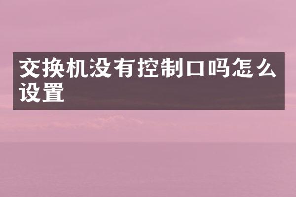 交换机没有控制口吗怎么设置
