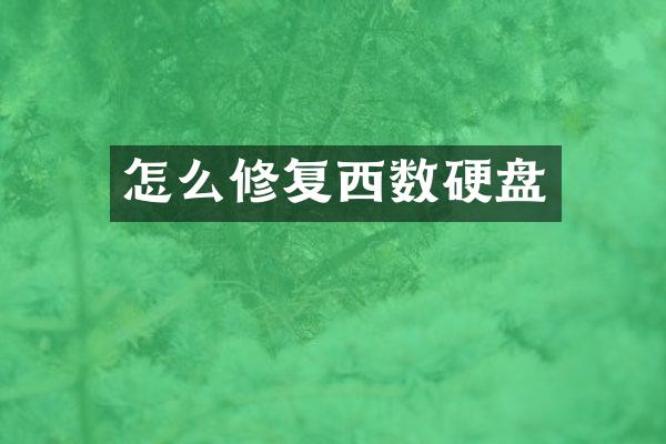怎么修复西数硬盘