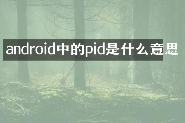 android中的pid是什么意思