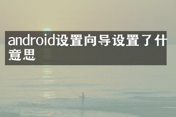 android设置向导设置了什么意思