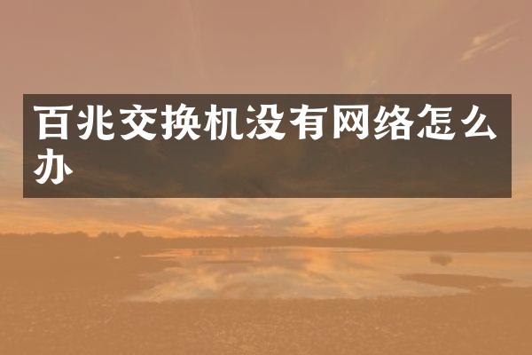 百兆交换机没有网络怎么办