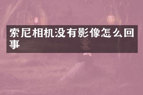 索尼相机没有影像怎么回事