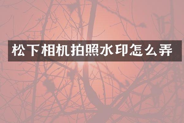 松下相机拍照水印怎么弄
