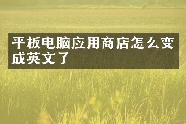 平板电脑应用商店怎么变成英文了