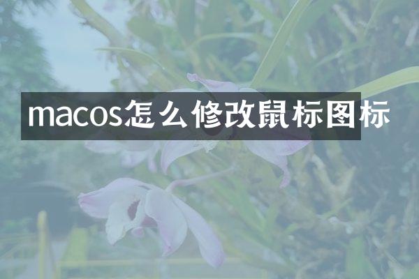 macos怎么修改鼠标图标