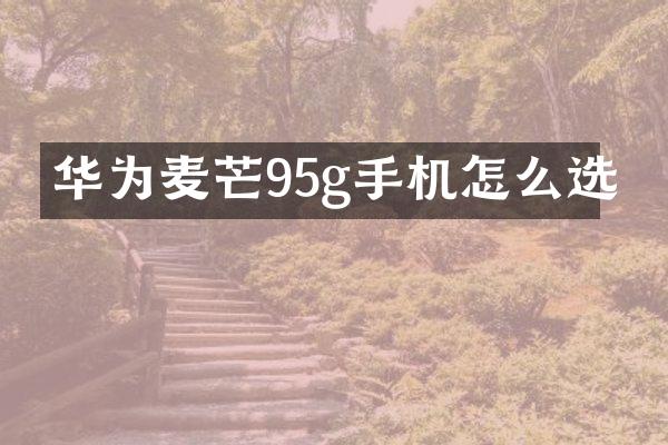 华为麦芒95g手机怎么选